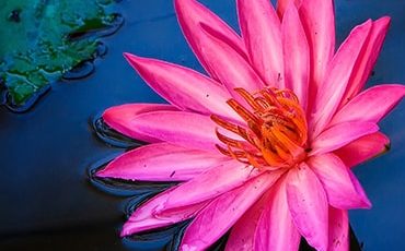 Choosing the right path