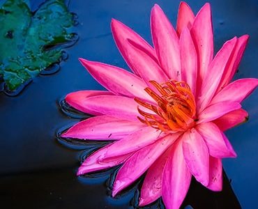 Choosing the right path