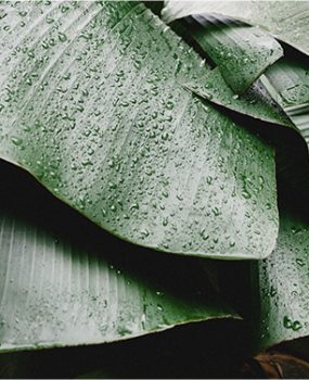 Top 10 night creams will help your skin to relax