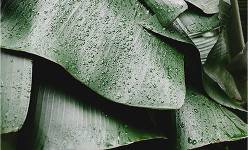 Top 10 night creams will help your skin to relax