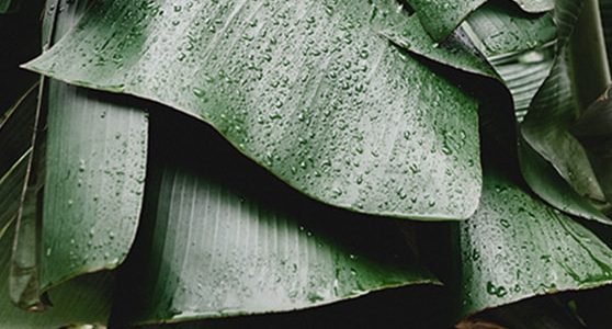 5 reasons to purchase desktop computers